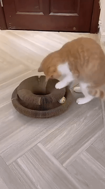 Pet Supplies Online USA