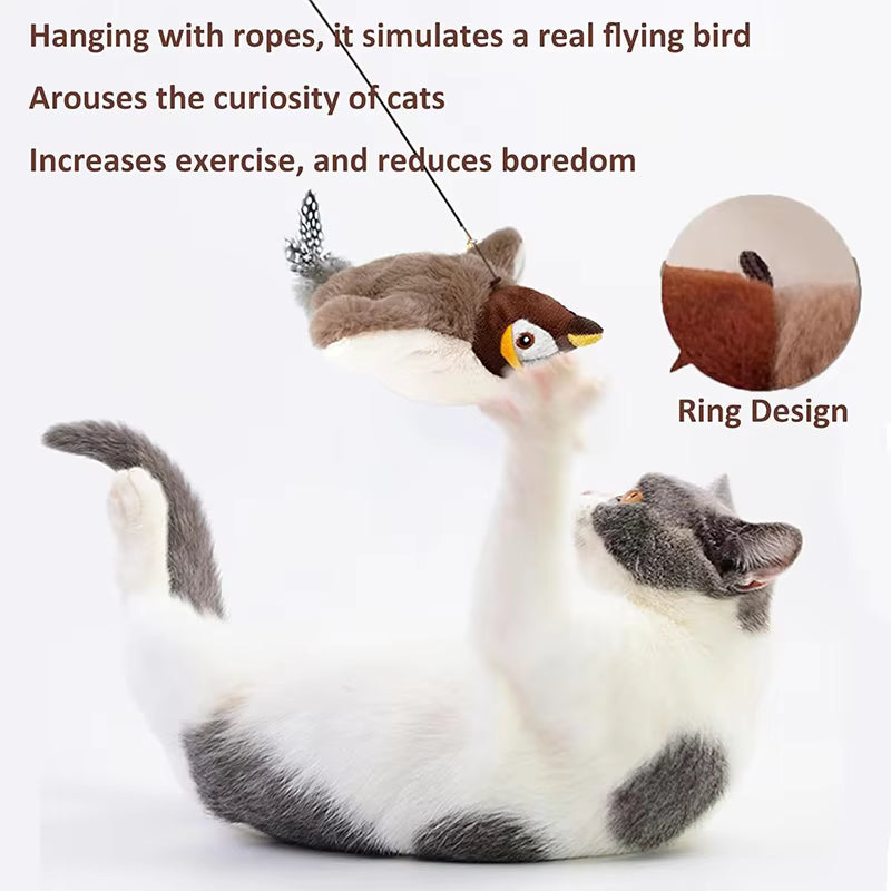 USB Rechargeable Cat Toy