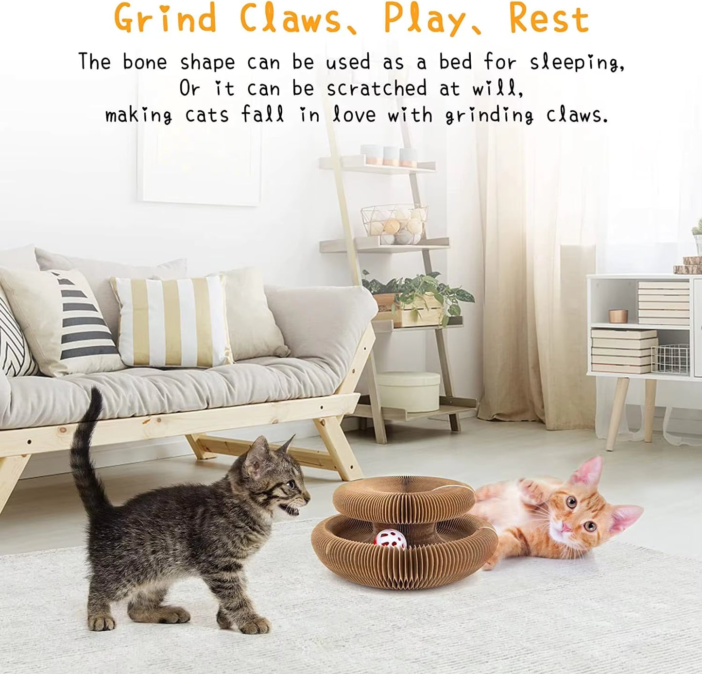 Cat Scratch Ball Toy