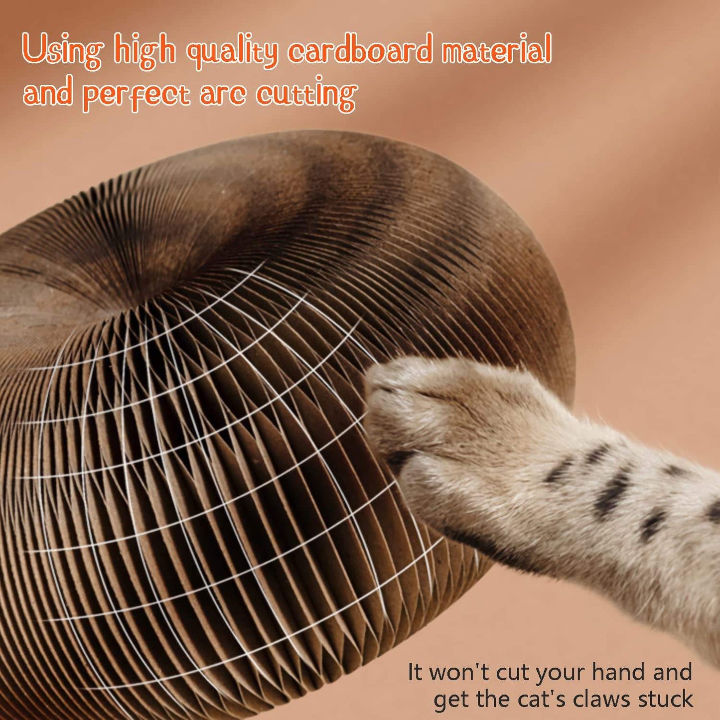 Cat Scratch Toy for Indoor Cats