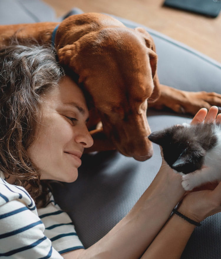 Chew Toys for Pets