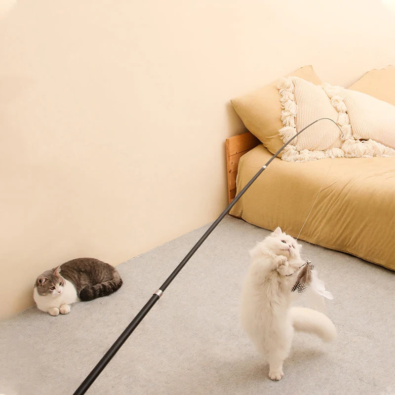 Telescopic Cat Wand