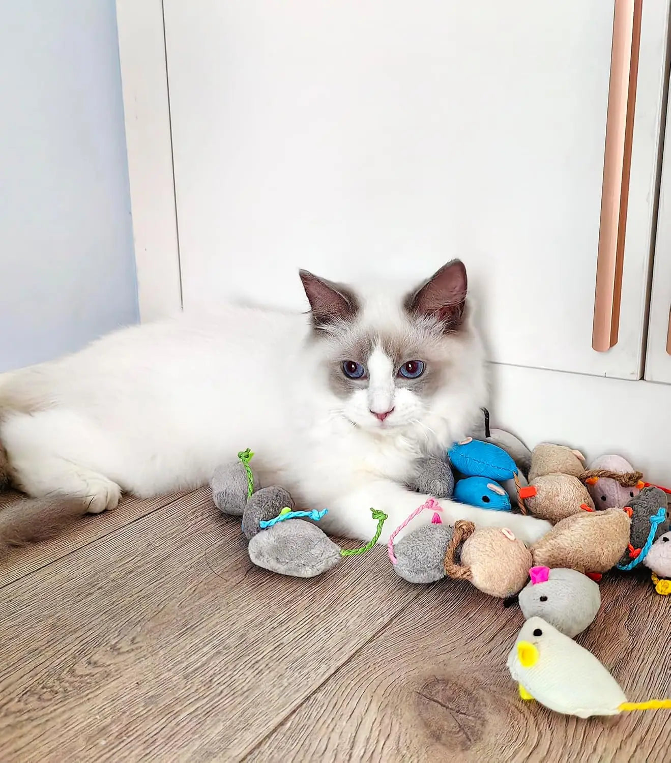 Small Cat Toys Pack