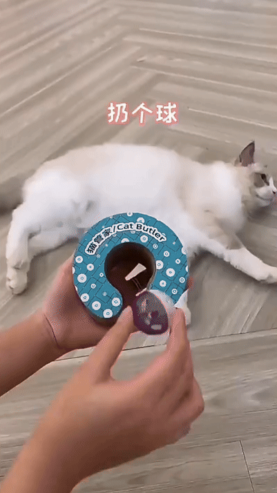 Fun Toys for Cats and Dogs