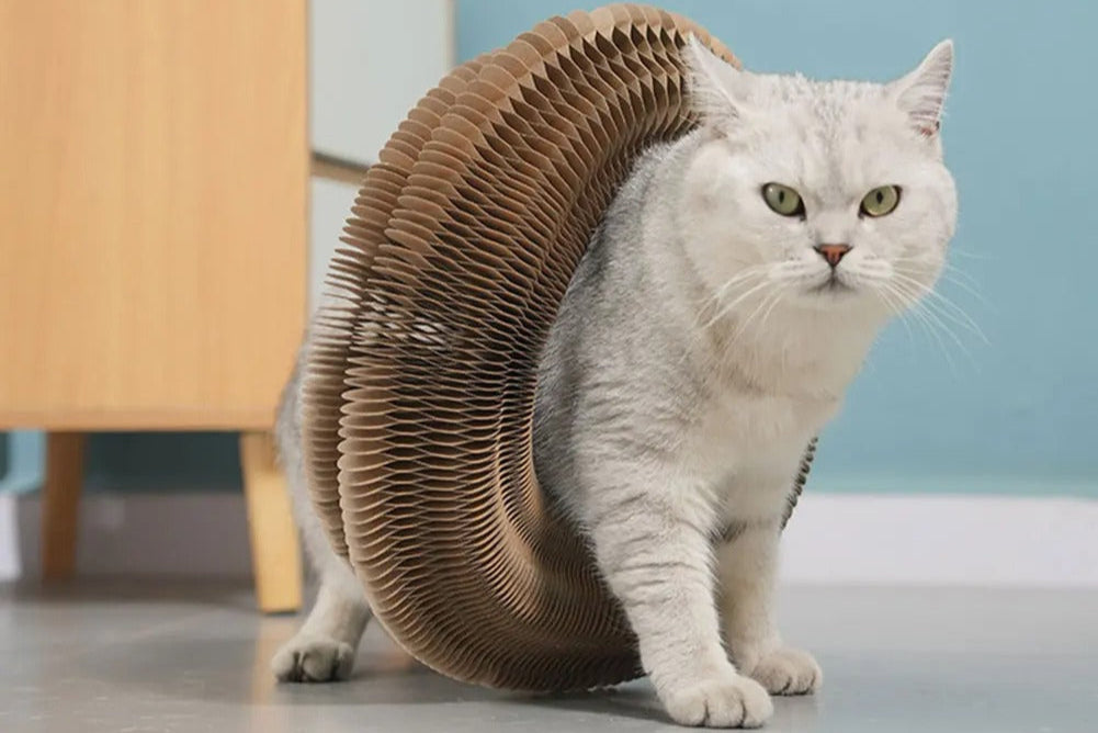Stress Relief Cat Toy