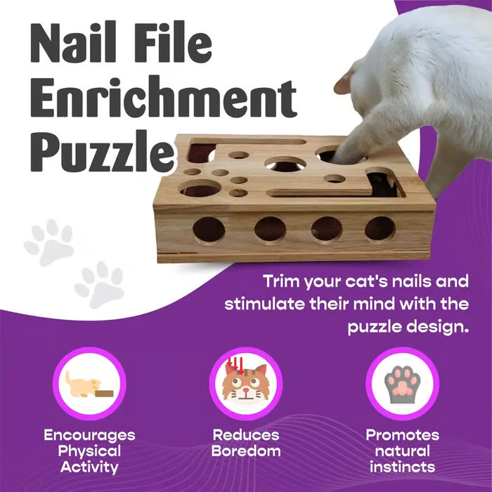 Cat Scratch Puzzle Enrichment Box with Nail File