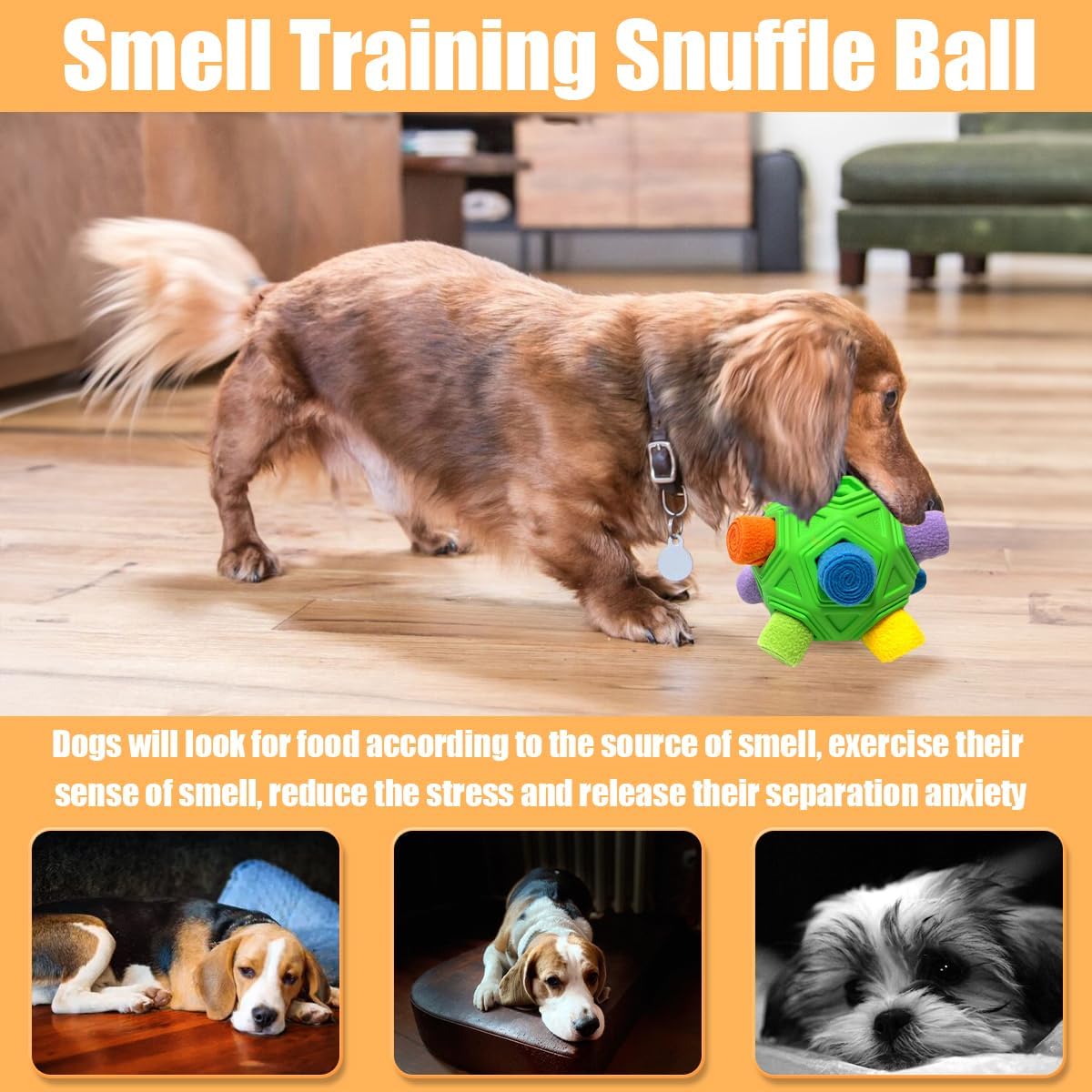 Dog Puzzle Ball