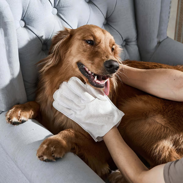Pet Wipes Gloves for Dogs and Cats – Gentle Grooming, Alcohol-Free, Safe for Paws, Face & Body