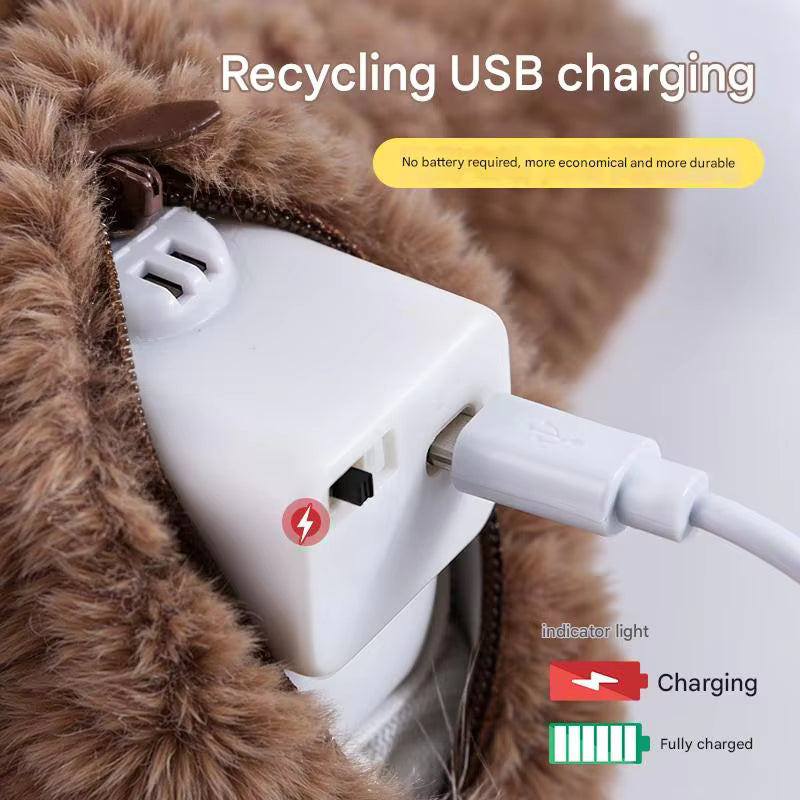 Rechargeable Chirping Flapping Bird for Cat