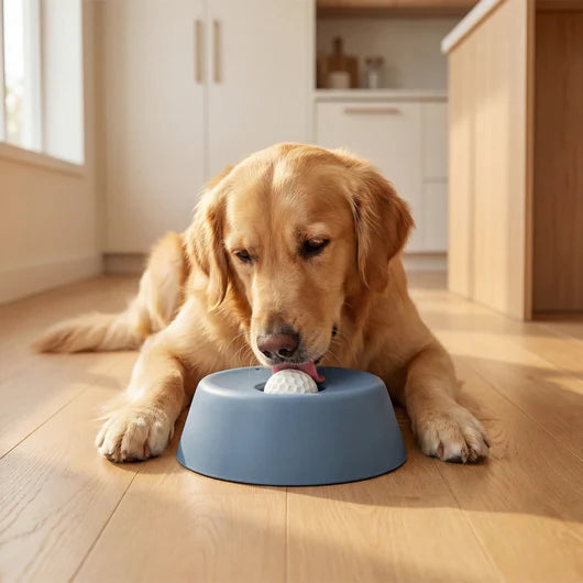 Anxiety Relief Feeder