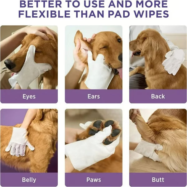Pet Wipes Gloves for Dogs and Cats – Gentle Grooming, Alcohol-Free, Safe for Paws, Face & Body