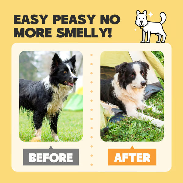Pet Wipes Gloves for Dogs and Cats – Gentle Grooming, Alcohol-Free, Safe for Paws, Face & Body