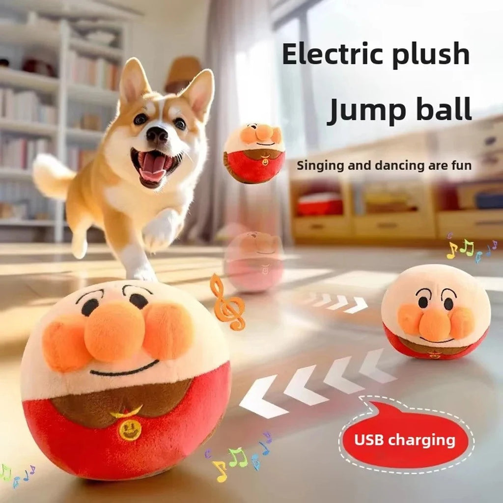 Bouncy Pet Toy
