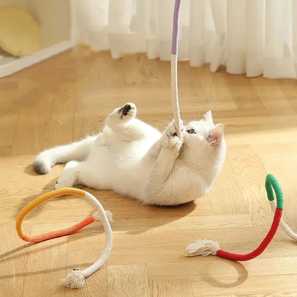Interactive Cat Scratching Rope