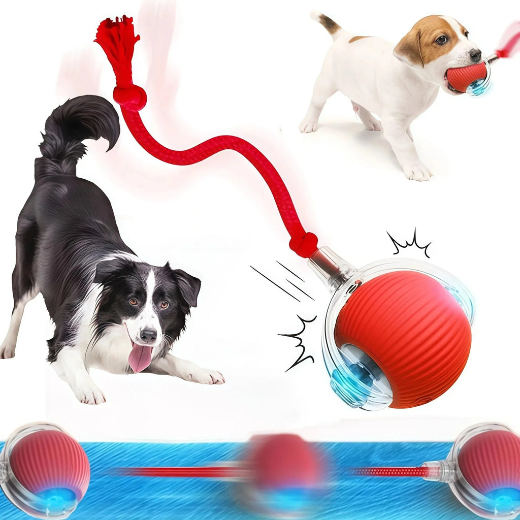 Interactive Cat Ball Toy