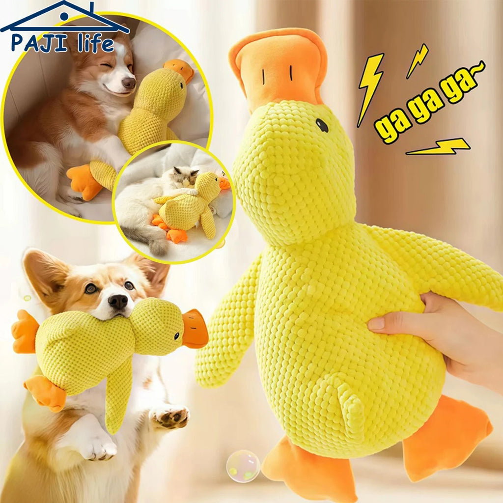 Chew-Resistant Duck Toy