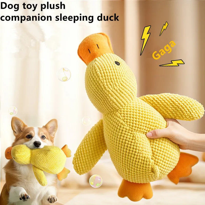 Chew-Resistant Duck Toy