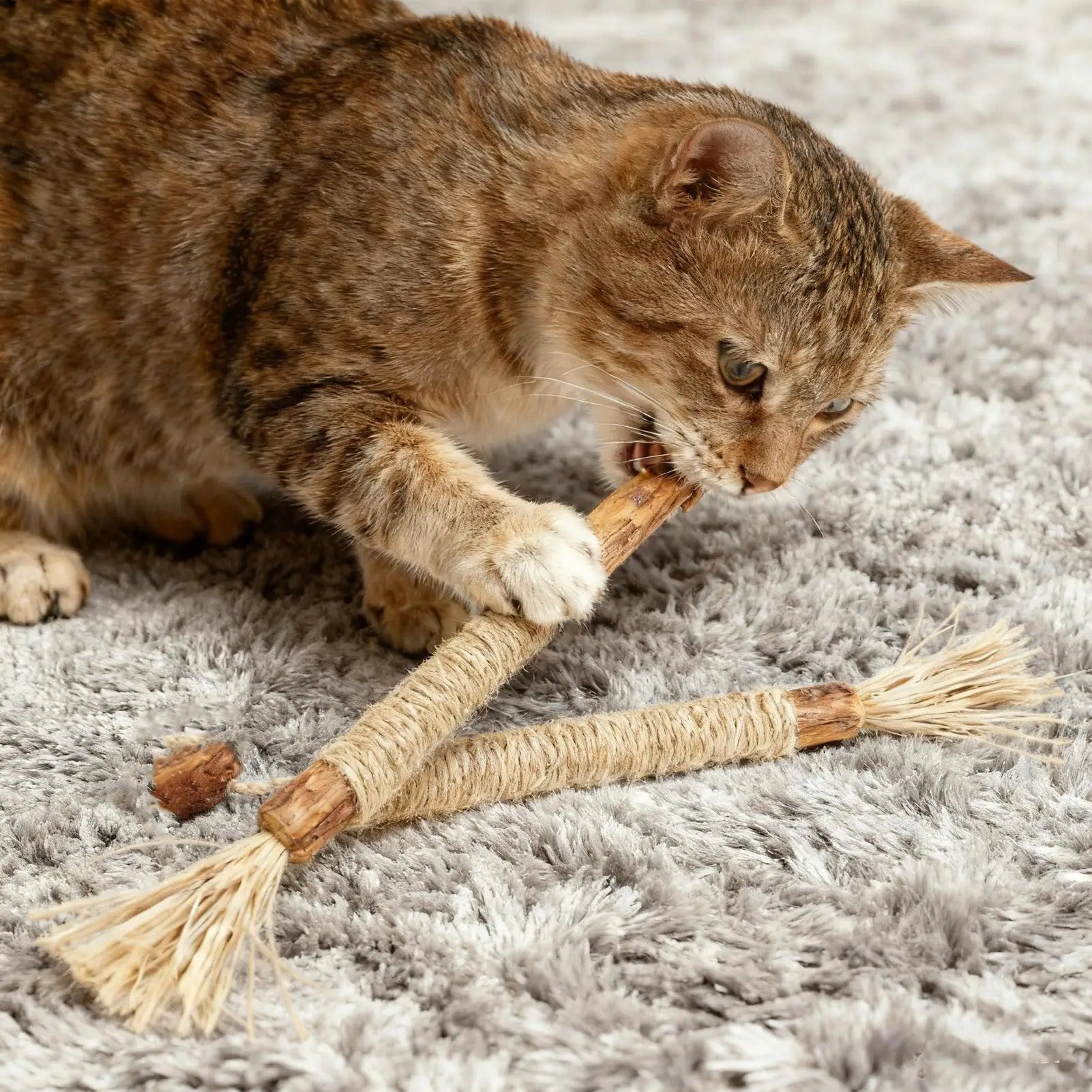 Natural Silvervine Dental Stick for Cats