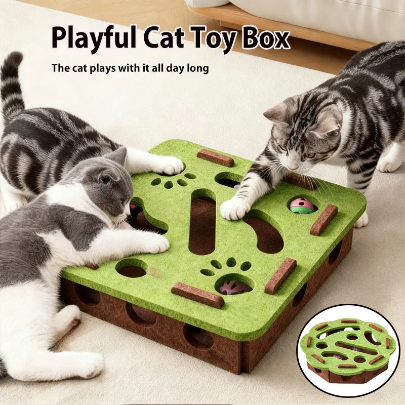 Cat Scratch Puzzle Enrichment Box with Nail File