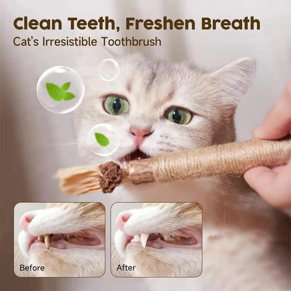 Natural Silvervine Dental Stick for Cats
