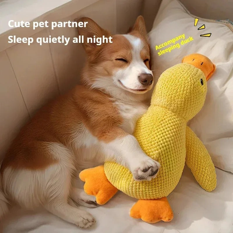 Chew-Resistant Duck Toy