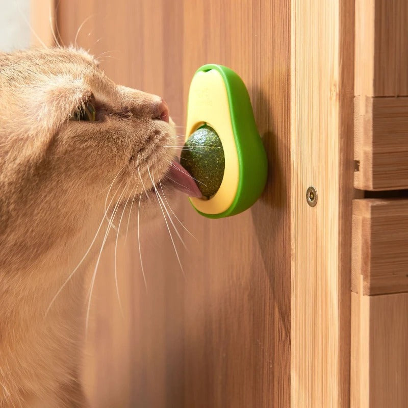 Catnip Wall Ball Toy