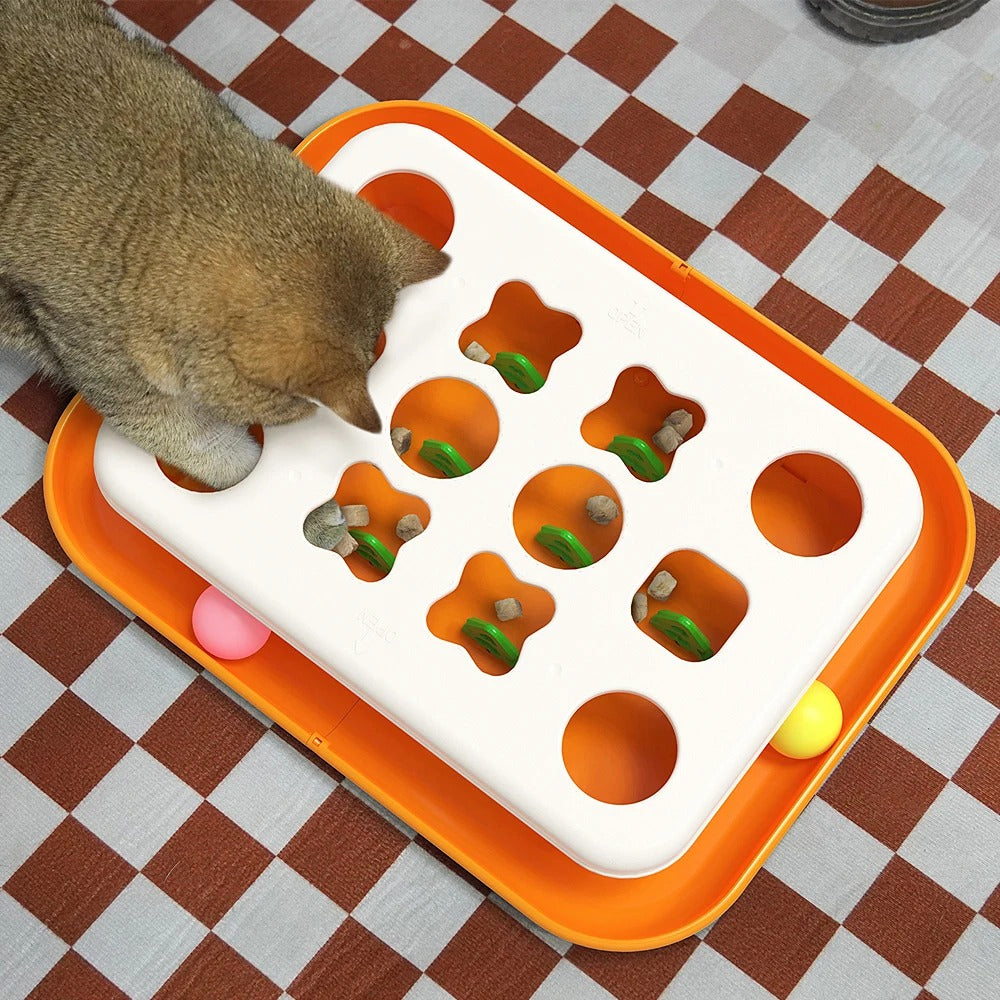 Cat Puzzle Treat Feeder