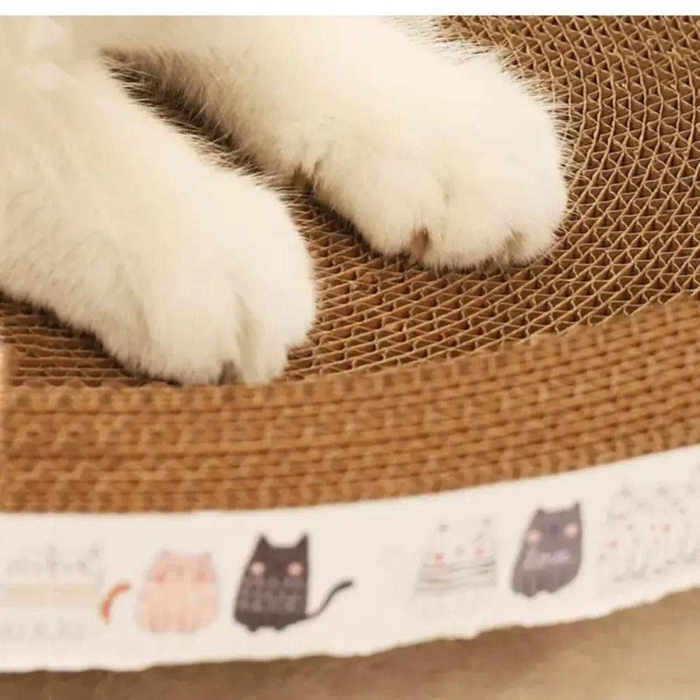 Oval Cat Scratcher