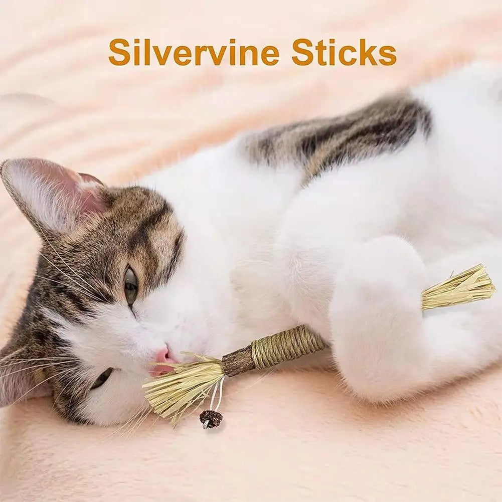 Natural Silvervine Dental Stick for Cats