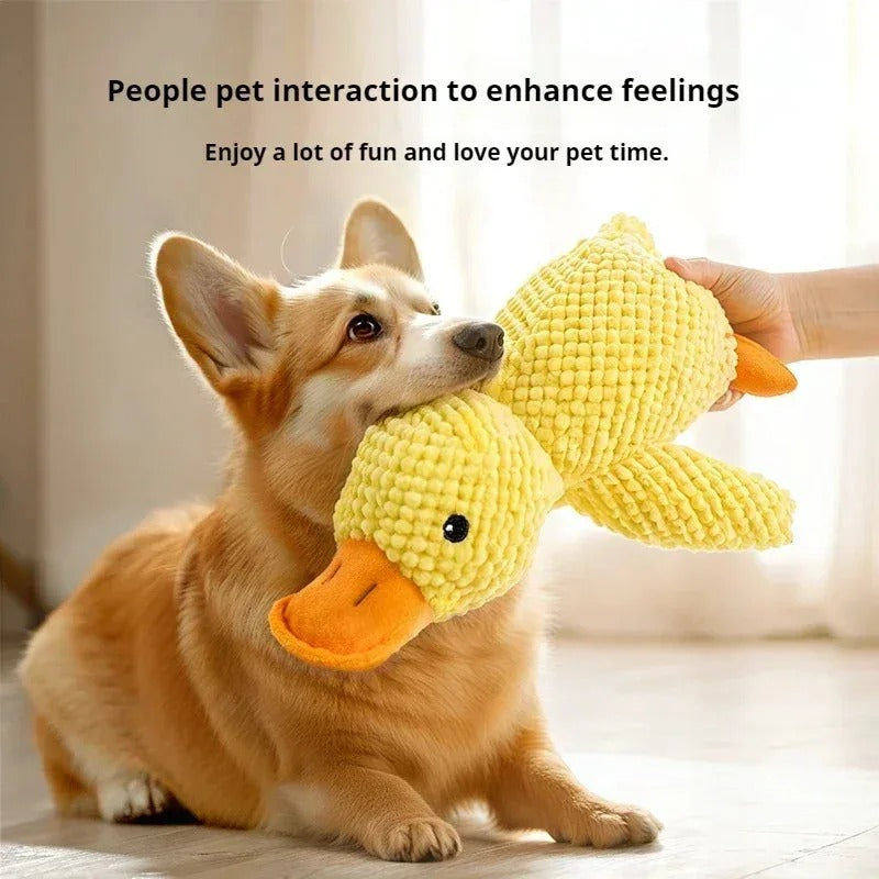 Chew-Resistant Duck Toy