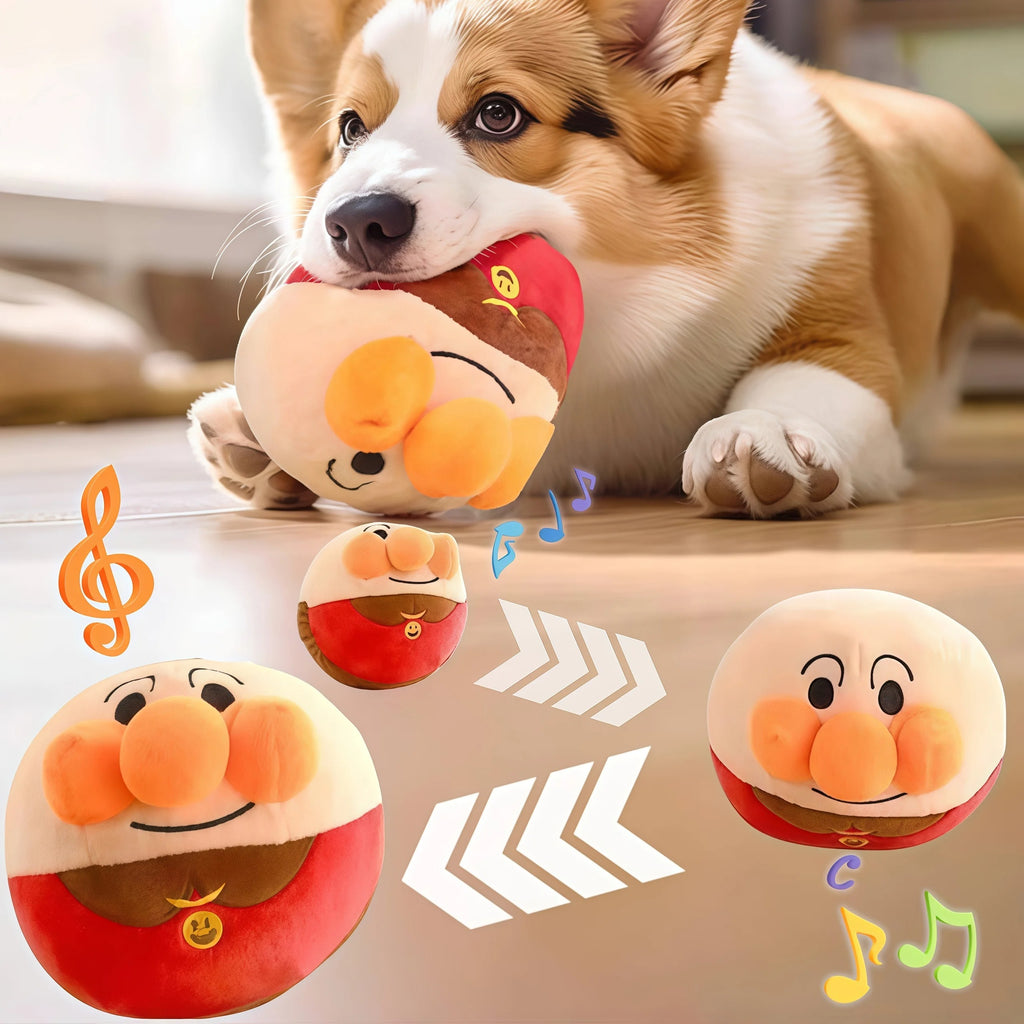 Bouncy Pet Toy