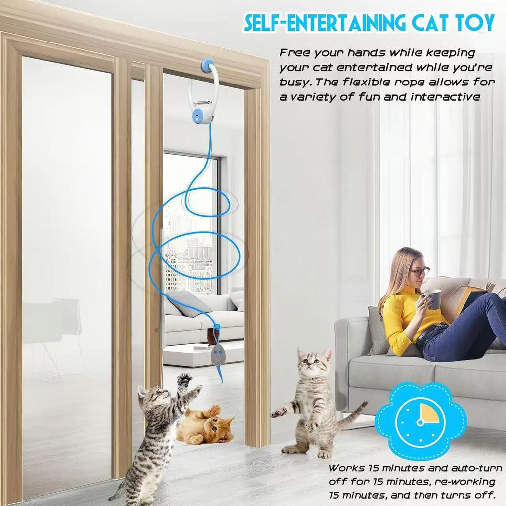 Retractable Hanging Cat Toy