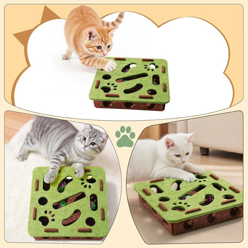 Cat Scratch Puzzle Enrichment Box with Nail File