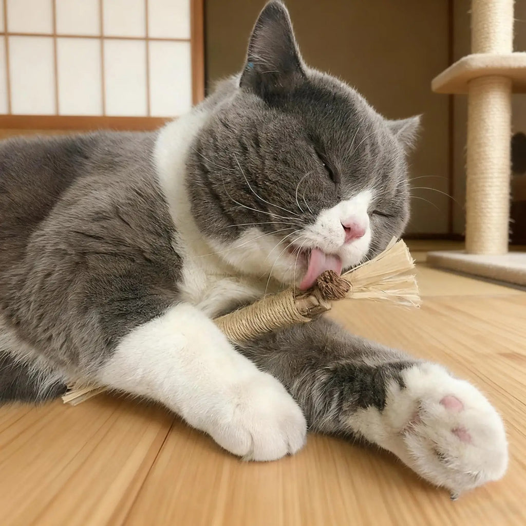 Natural Silvervine Dental Stick for Cats