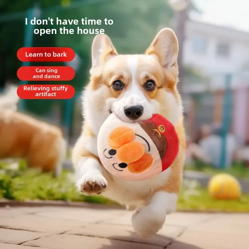 Bouncy Pet Toy