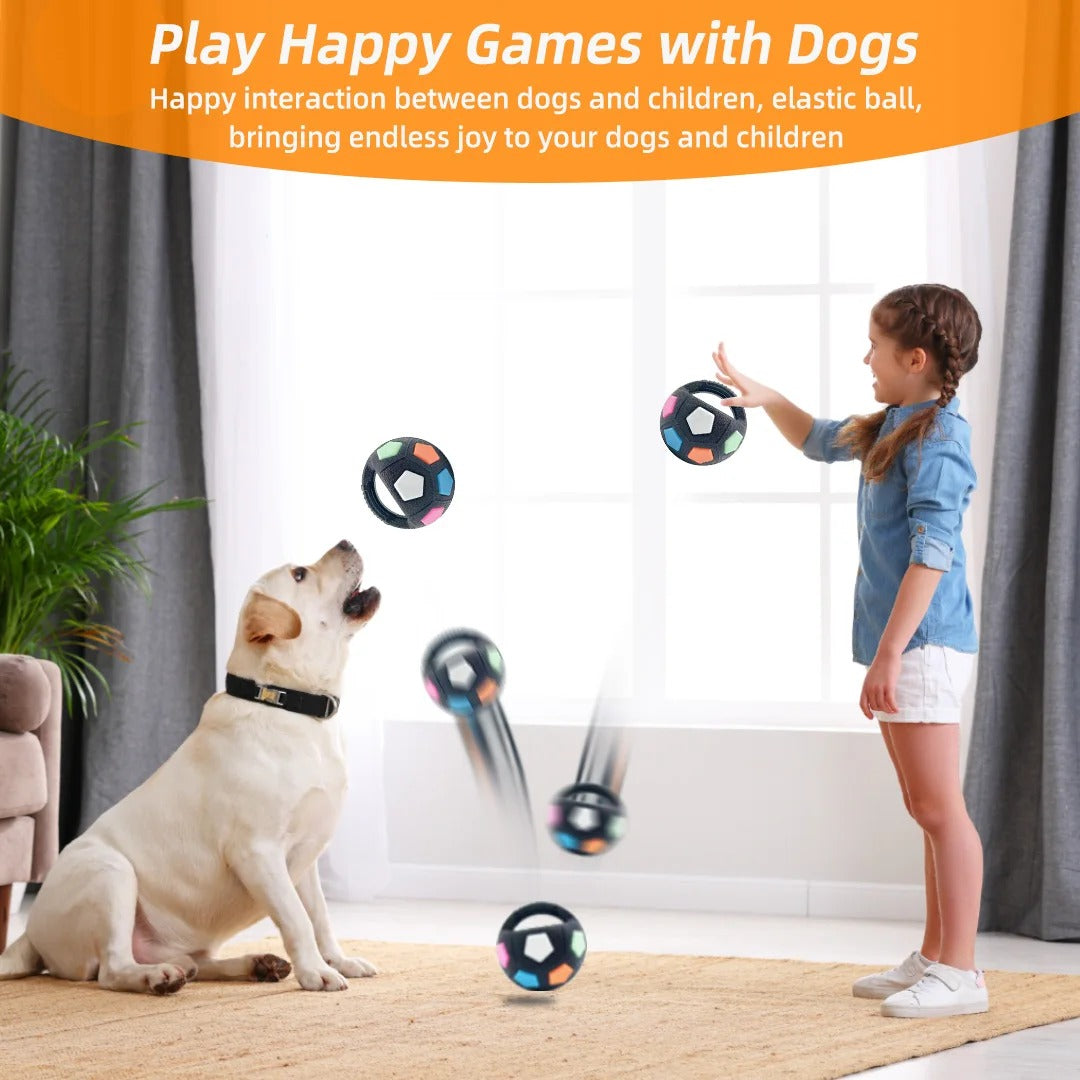 Chew Soccer Ball