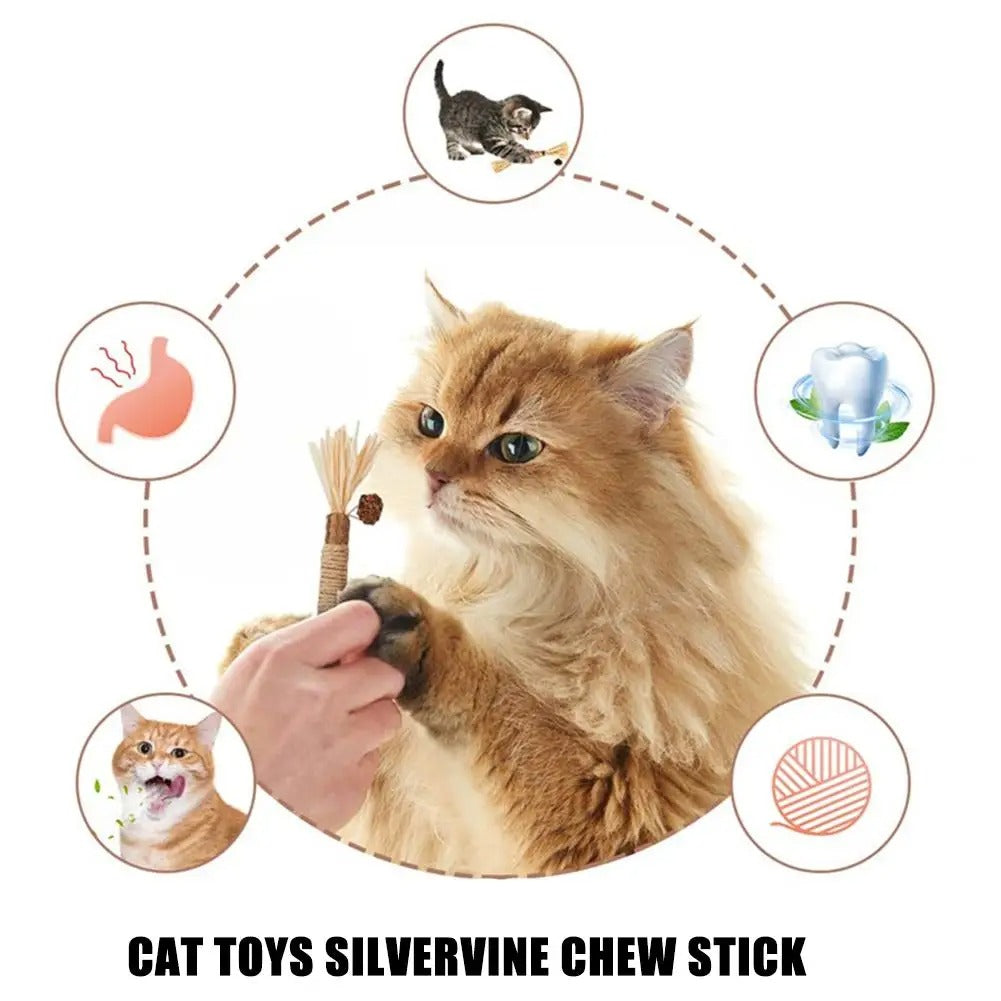 Natural Silvervine Dental Stick for Cats