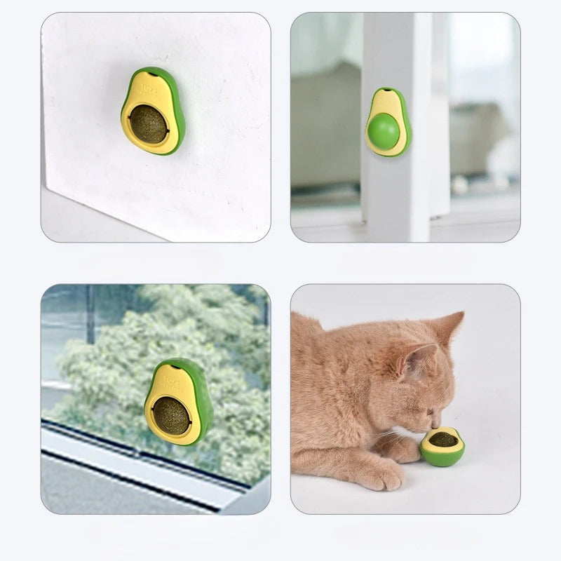 Catnip Wall Ball Toy