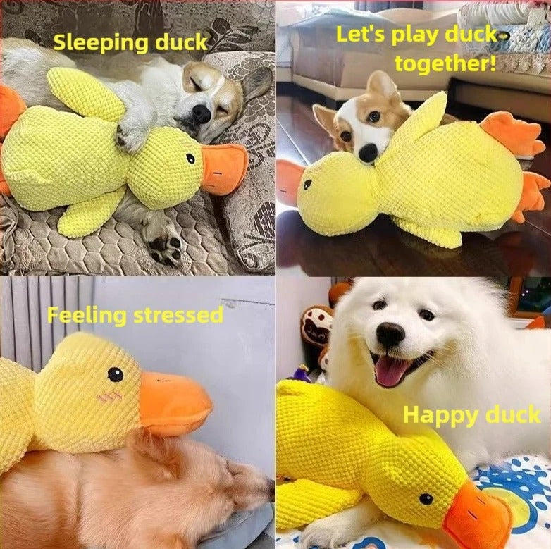 Chew-Resistant Duck Toy