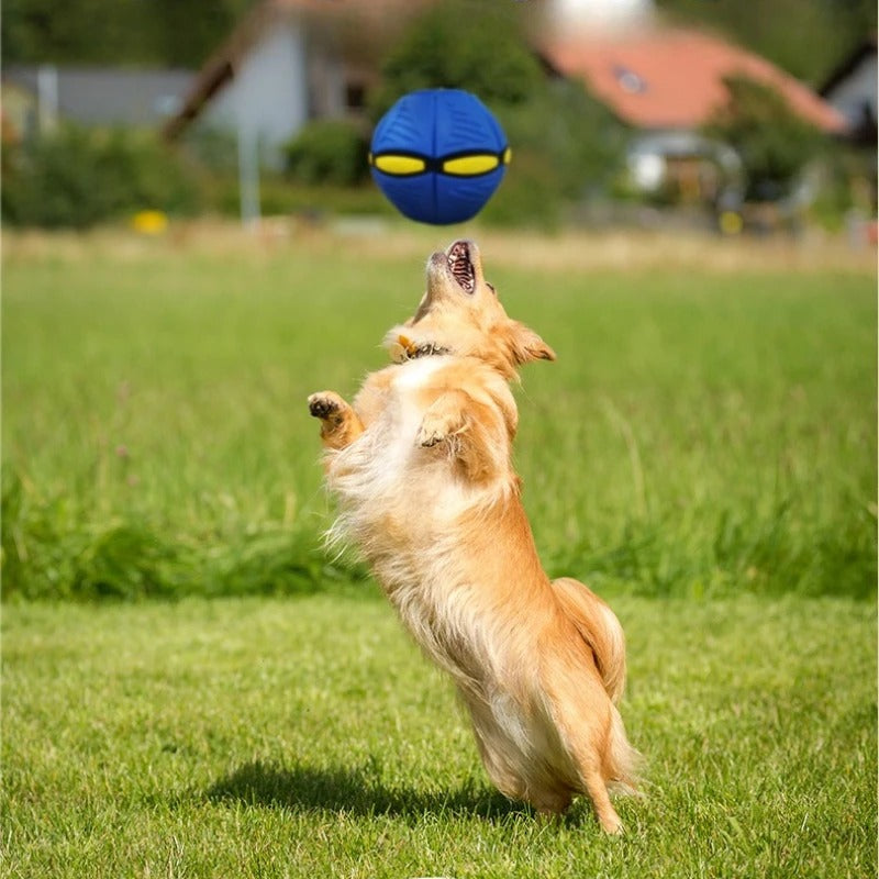 Magic Flying Saucer Ball