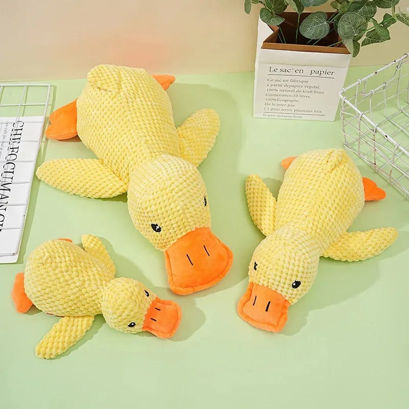 Chew-Resistant Duck Toy