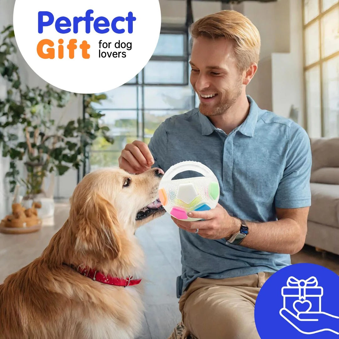 Chew Soccer Ball