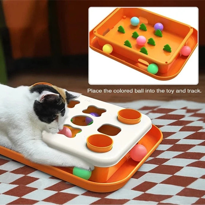 Cat Puzzle Treat Feeder