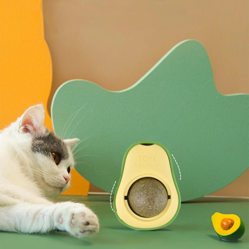 Catnip Wall Ball Toy