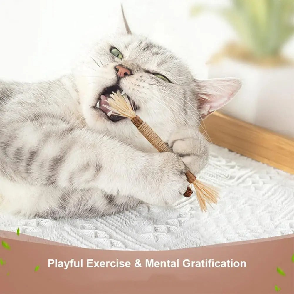 Natural Silvervine Dental Stick for Cats