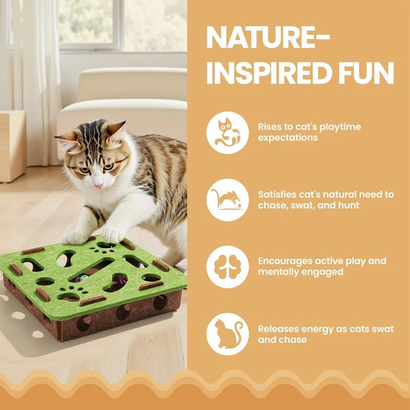 Cat Scratch Puzzle Enrichment Box with Nail File