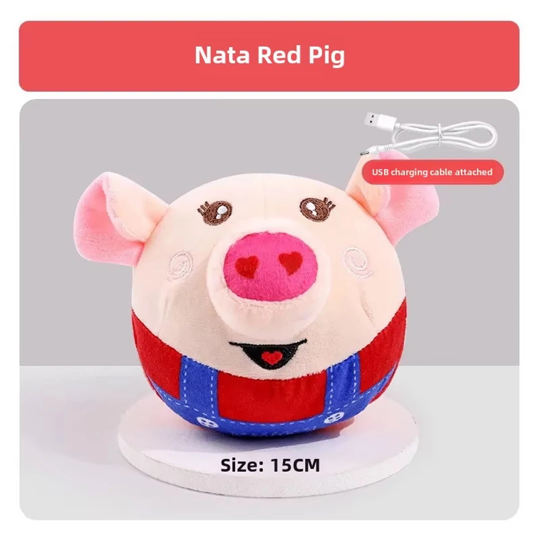 Bouncy Pet Toy