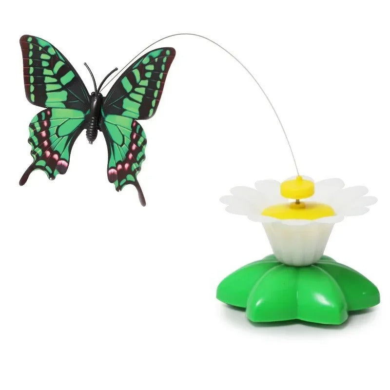 Rotating Electric Butterfly